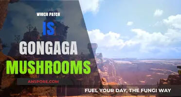 Gongaga Mushrooms: Patch Notes and Locations