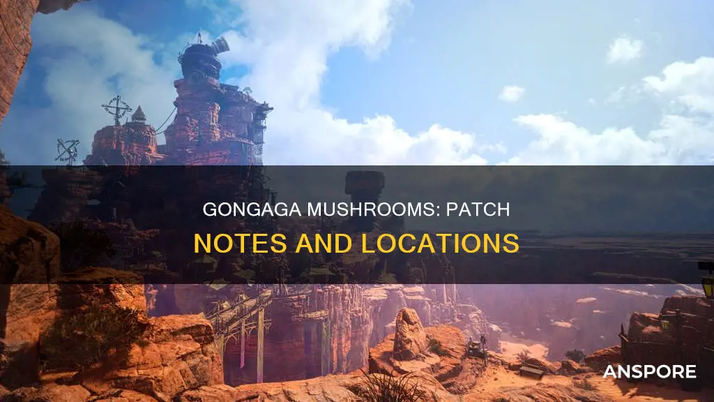 which patch is gongaga mushrooms