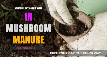 Best Plants Thriving in Mushroom Manure: A Comprehensive Guide