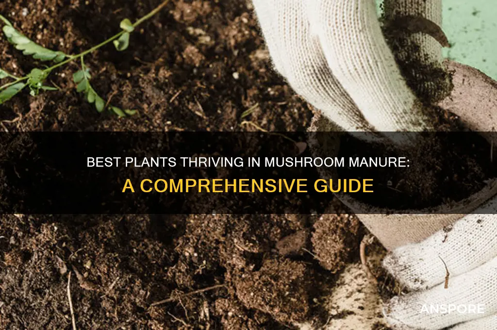 which plants grow well in mushroom manure