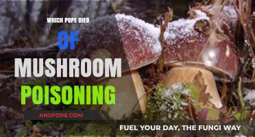 Deadly Fungi: The Pope Who Perished from Mushroom Poisoning