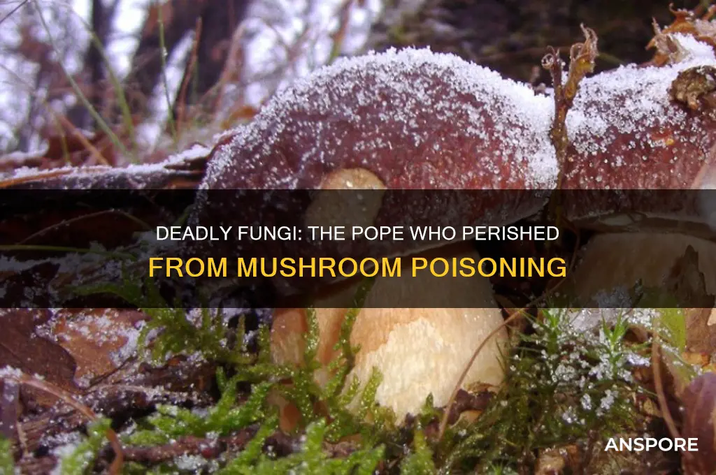 which pope died of mushroom poisoning
