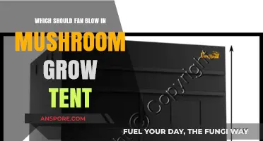 Optimal Airflow: Which Way Should Fans Blow in Mushroom Grow Tents?