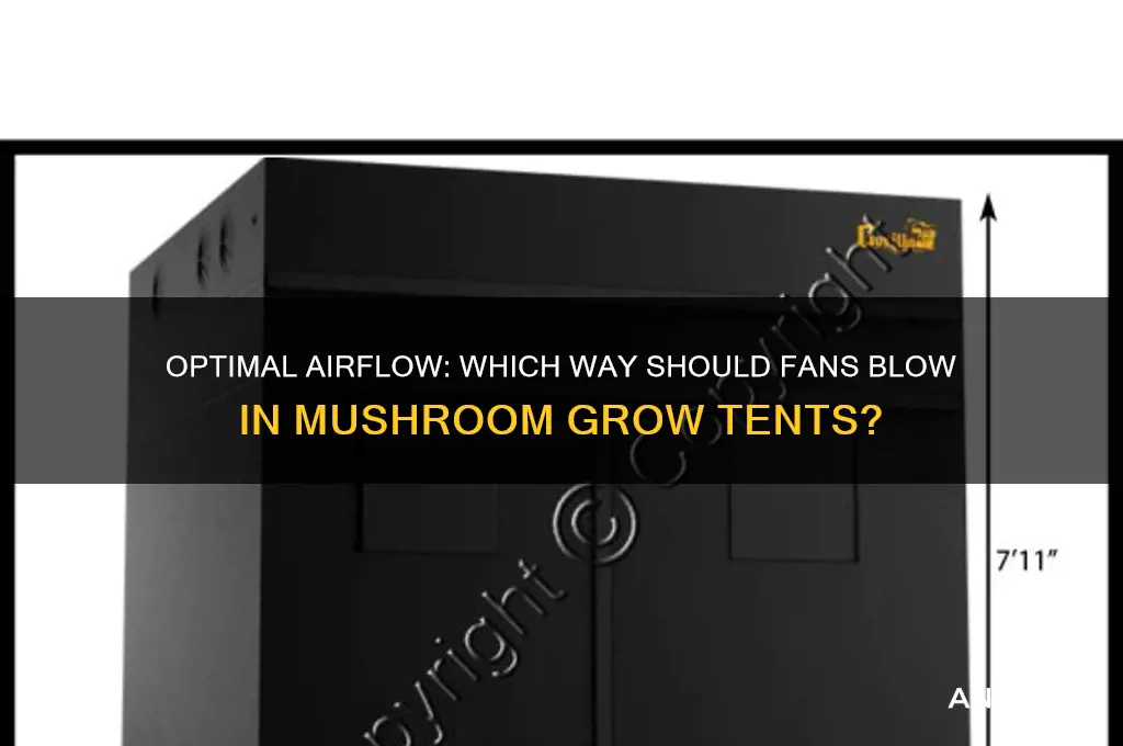 which should fan blow in mushroom grow tent