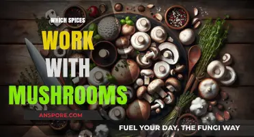 Mushroom Magic: Spices to Enhance Your Dish