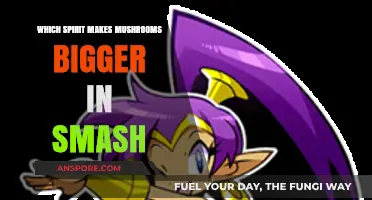 Unveiling the Spirit That Boosts Mushroom Size in Super Smash Bros