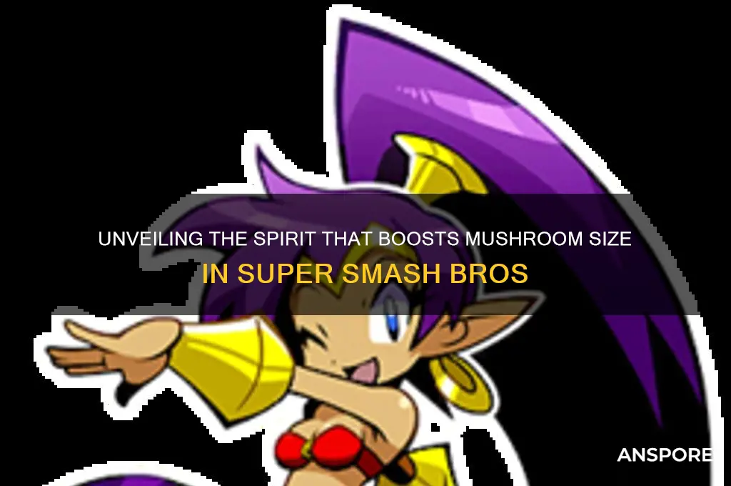 which spirit makes mushrooms bigger in smash