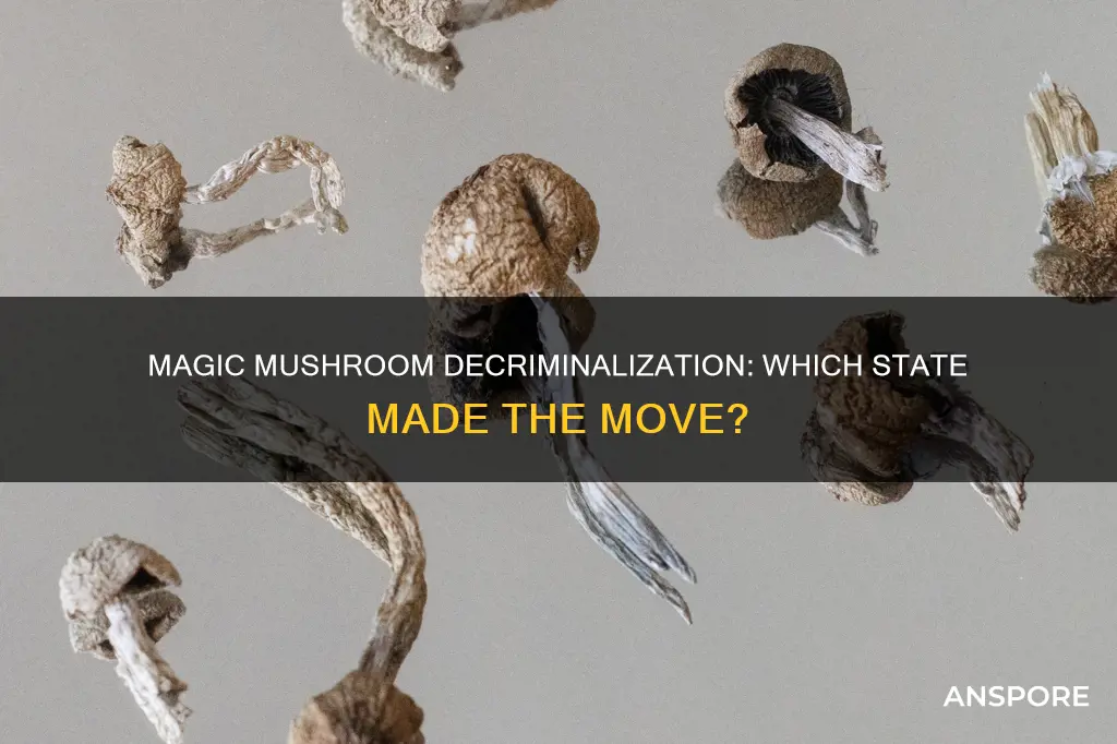 which state decriminalized mushrooms