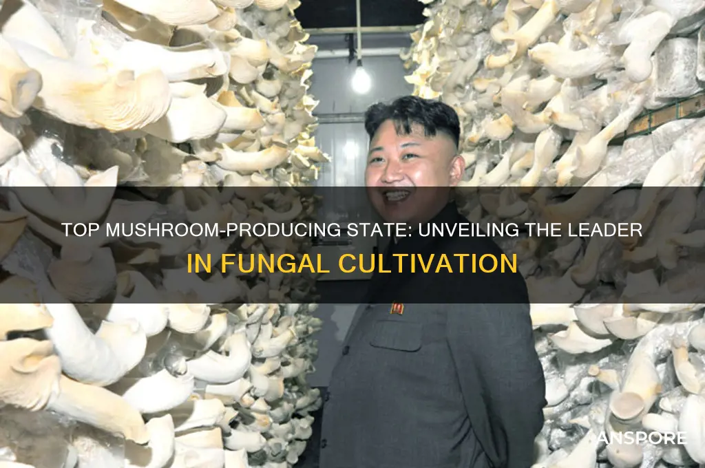 which state grows the most mushrooms