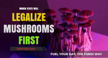 Which U.S. State Will Legalize Psilocybin Mushrooms First?