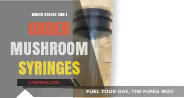 Legal States for Ordering Mushroom Syringes: A Comprehensive Guide