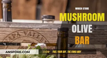 Mushroom and Olive Bars: A Tasty, Healthy Store Treat