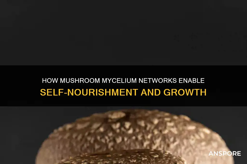 which structure s allows the growing mushroom to nourish itself