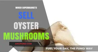 Where to Buy Oyster Mushrooms at Supermarkets
