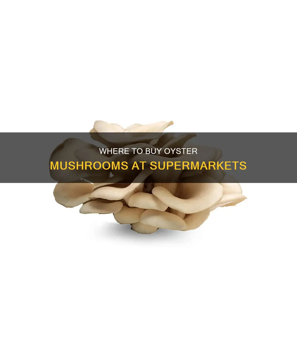 which supermarkets sell oyster mushrooms