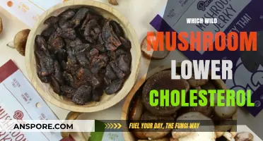 Mushroom Power: Wild Varieties to Lower Cholesterol