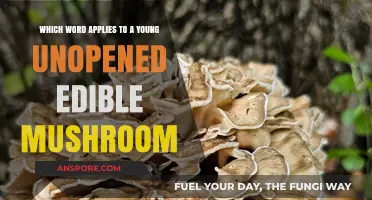 Unveiling the Secret: What to Call a Young, Unopened Edible Mushroom