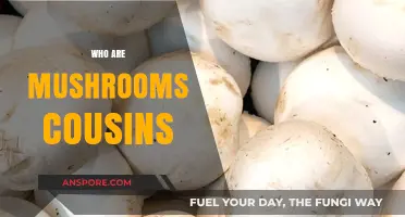 Mushrooms' Cousins: Unveiling the Fungal Family Tree