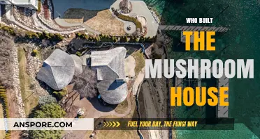 The Mushroom House: A Unique Architectural Wonder