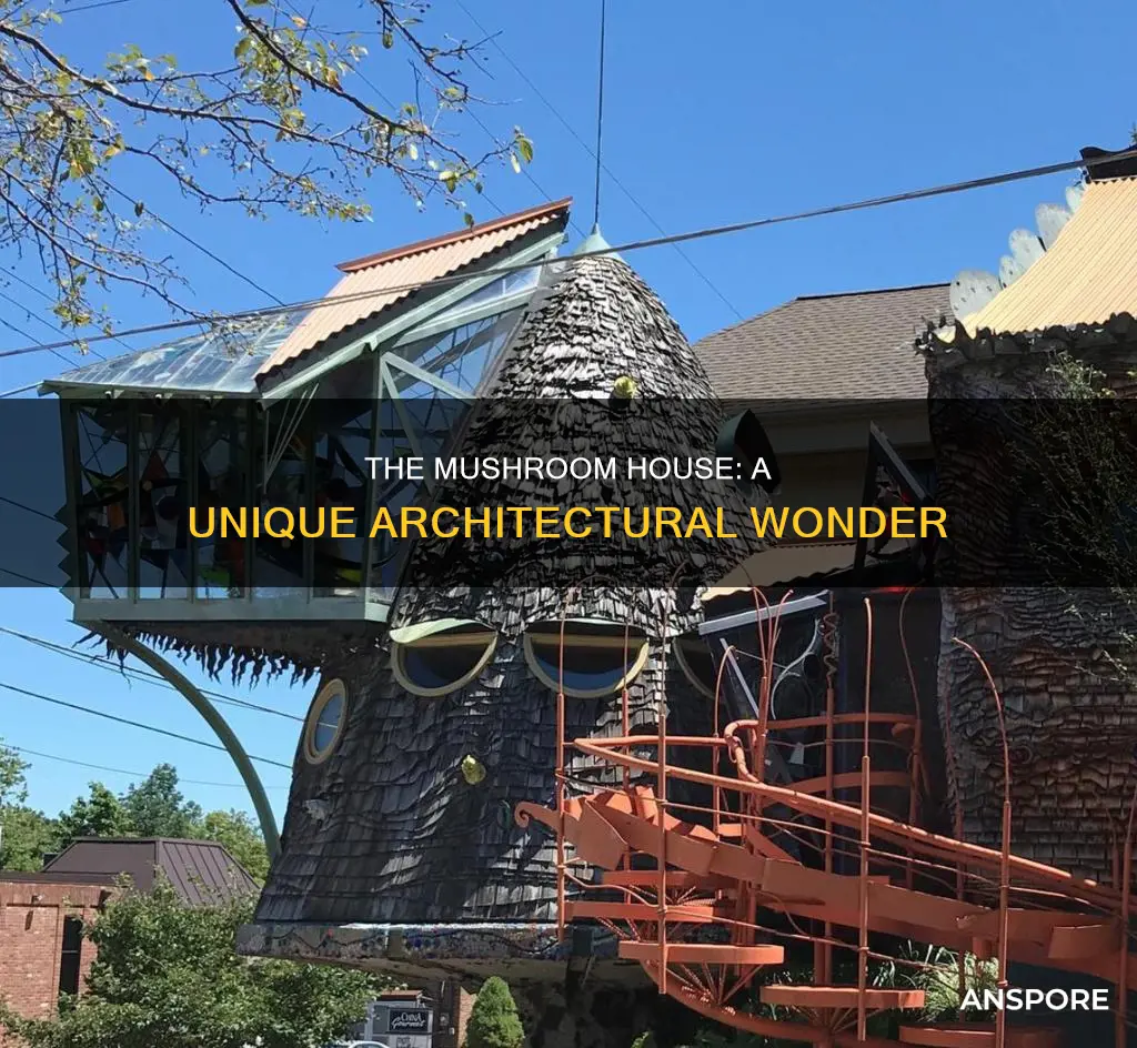 who built the mushroom house