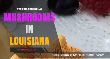 Louisiana's Chanterelle Mushroom Buyers: Who's Purchasing These Foraged Delights?