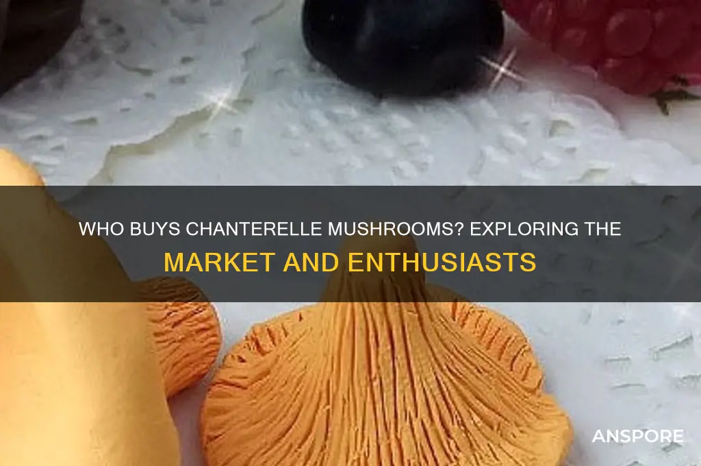 who buys chanterelle mushrooms