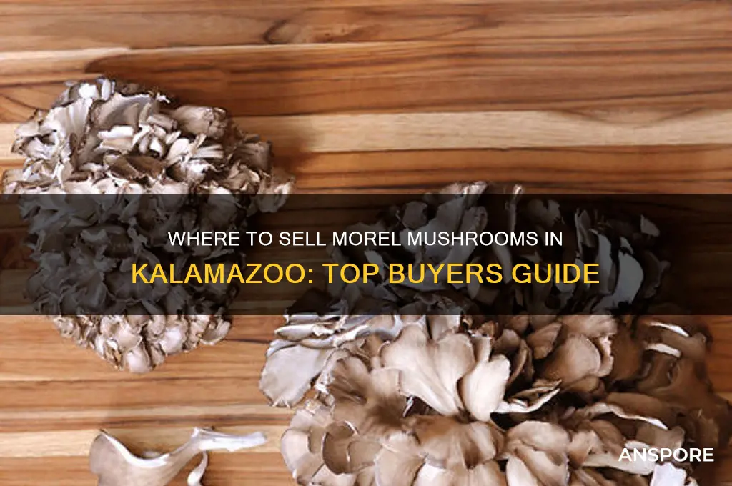 who buys morel mushrooms in kalamazoo