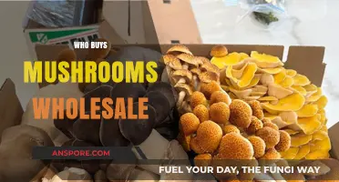 Who Buys Mushrooms Wholesale: Key Industries and Buyers Explained