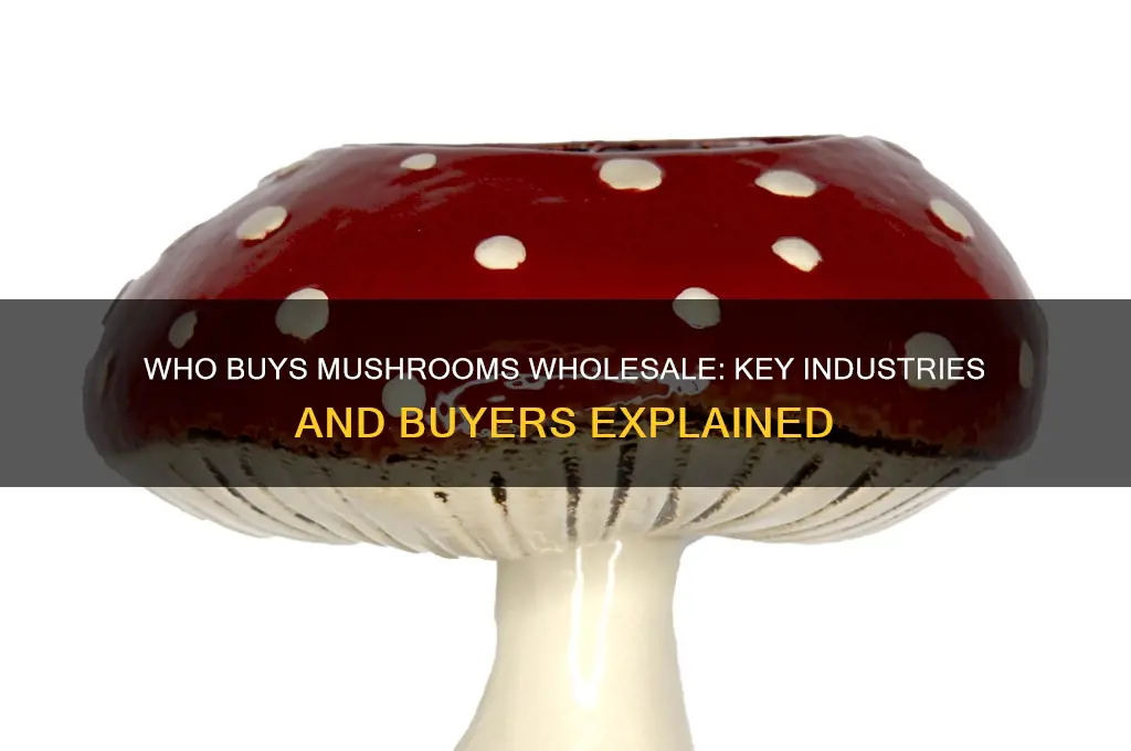 who buys mushrooms wholesale