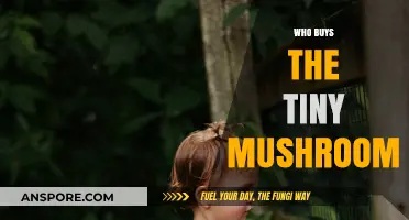 Who Buys Tiny Mushrooms? Exploring the Surprising Market and Buyers