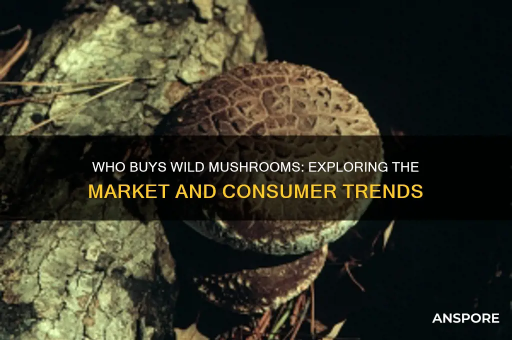 who buys wild mushrooms