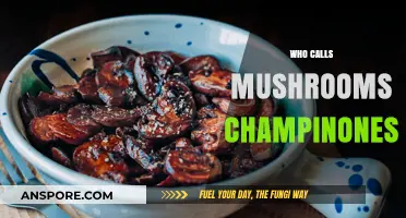 Mushrooms: Why Champiñones?