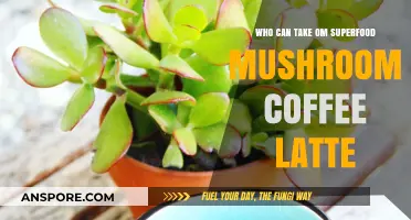 Who Can Enjoy OM Superfood Mushroom Coffee Latte Benefits?