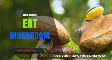 Mushroom Sensitivities: Who Should Avoid Eating Mushrooms and Why