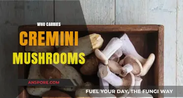 Where to Find Cremini Mushrooms and Why You Should