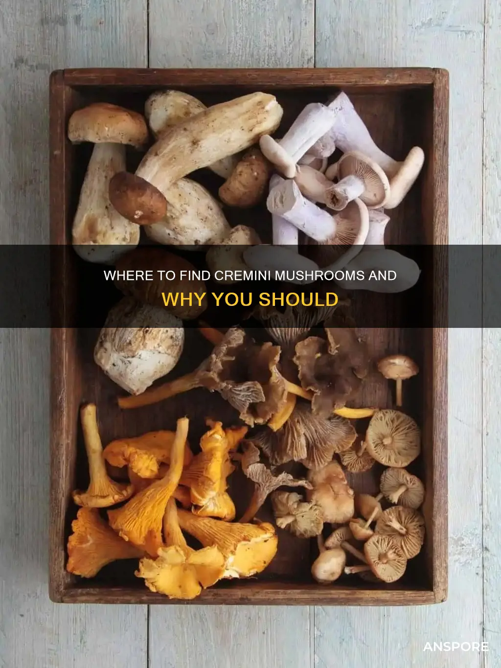 who carries cremini mushrooms