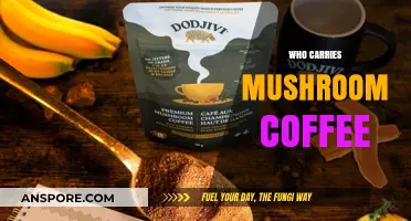 Mushroom Coffee: Where to Buy This Magical Brew