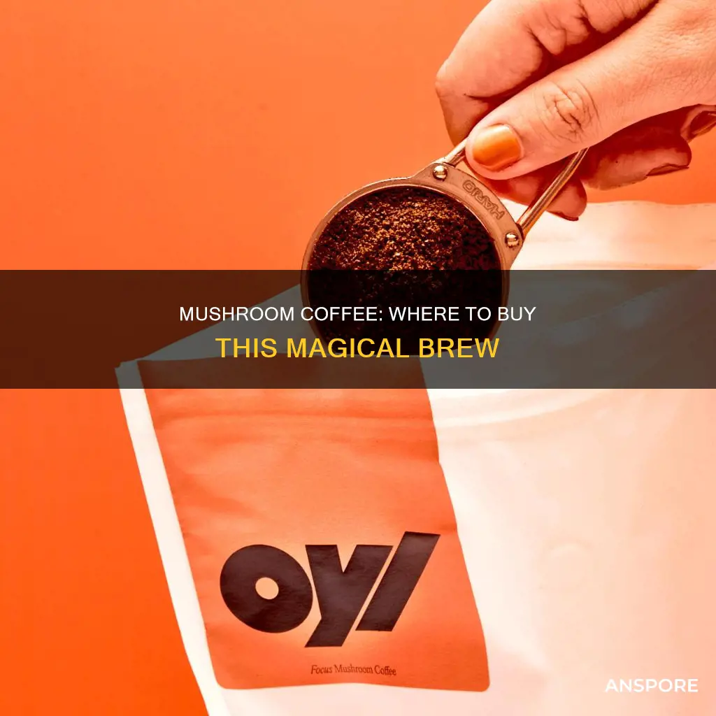 who carries mushroom coffee