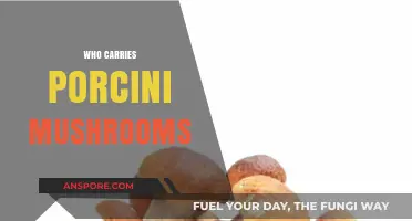 Where to Find Porcini Mushrooms