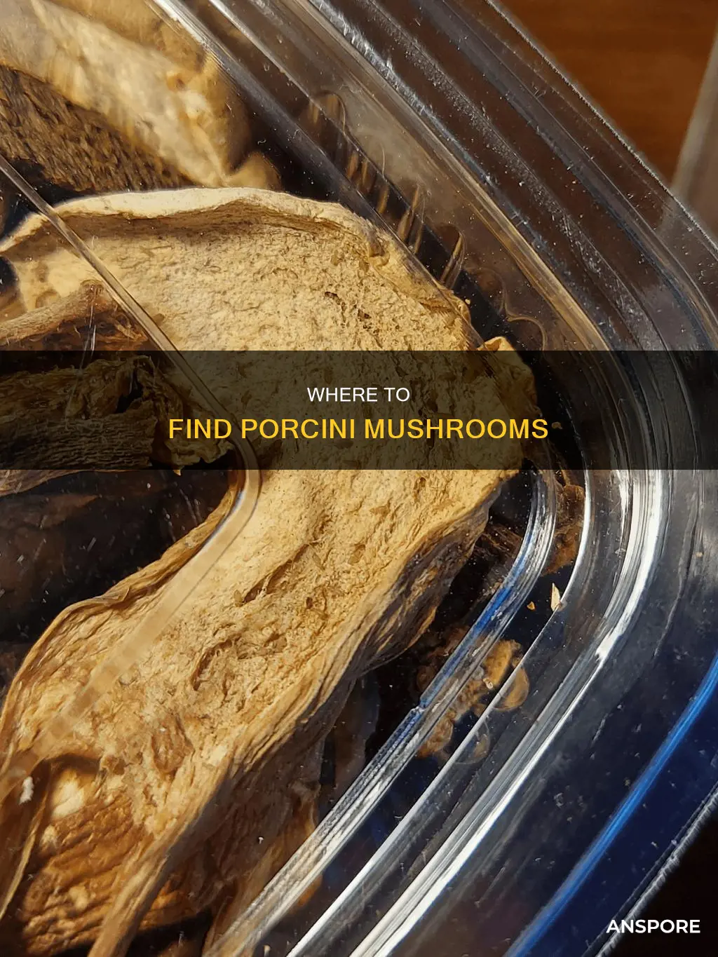 who carries porcini mushrooms