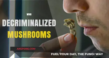 Magic Mushroom Movement: Decriminalization's Champions