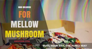 Mellow Mushroom's Delivery Partners: Who Brings the Pizza?