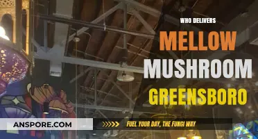 Mellow Mushroom Greensboro: Quick, Fresh, and Tasty Deliveries