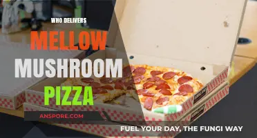 Mellow Mushroom Pizza: Who Delivers the Goodness?