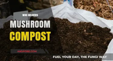 Mushroom Compost: Who Delivers This Magic?