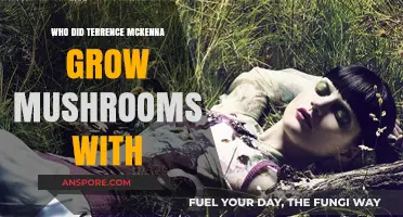 Terrence McKenna's Mushroom Cultivation Partners: Unveiling the Psychedelic Collaborators