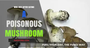 Deadly Mushroom Mistakes: Who Falls Victim to Toxic Fungi?