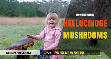 The Discovery of Hallucinogenic Mushrooms: A Historical Perspective