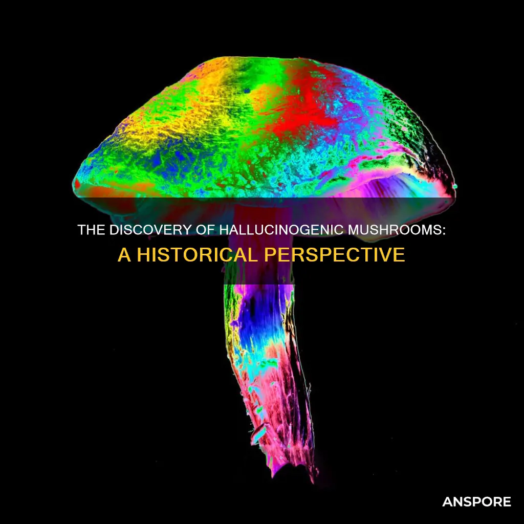 who discovered hallucinogenic mushrooms