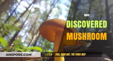 Mushroom Discovery: Who Found This Fungus?